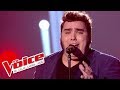 Mylne farmer  dsenchante  yoann launay  the voice france 2015  prime 1