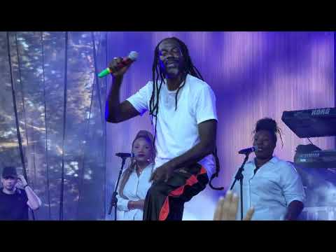 Big It Up - Buju Banton Live at Marymoor Park in Redmond, Washington 6/17/2026