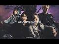 [playlist] WOLF HOWL HARMONY vibes station 2026, medley