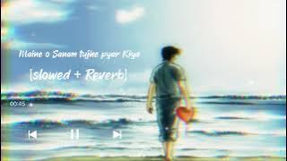maine o Sanam tujhe pyar Kiya (slowed   Reverb) YoYo honey Singh ||songs||