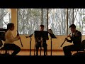 Beethoven - Variations for 2 Oboes and English Horn in "La ci darem di mano"