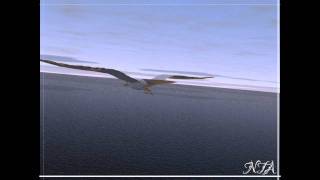 Animations by Artlantis studio3