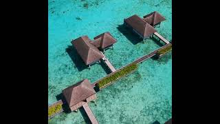 FS Maldives: Your Daily Touch of Blue