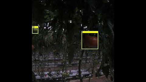 SOUP Project   Machine Vision System Video Tracking