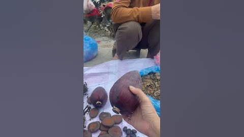 Hoa chuối rừng | #shorts |