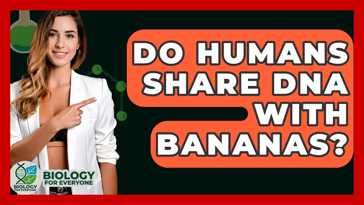 Do Humans Share DNA With Bananas? - Biology For Everyone