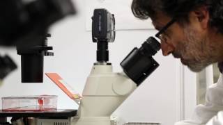 Zika and UTMB Efforts Update