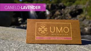 Umo Recolector / Aroma Patagonia - Box Canelo