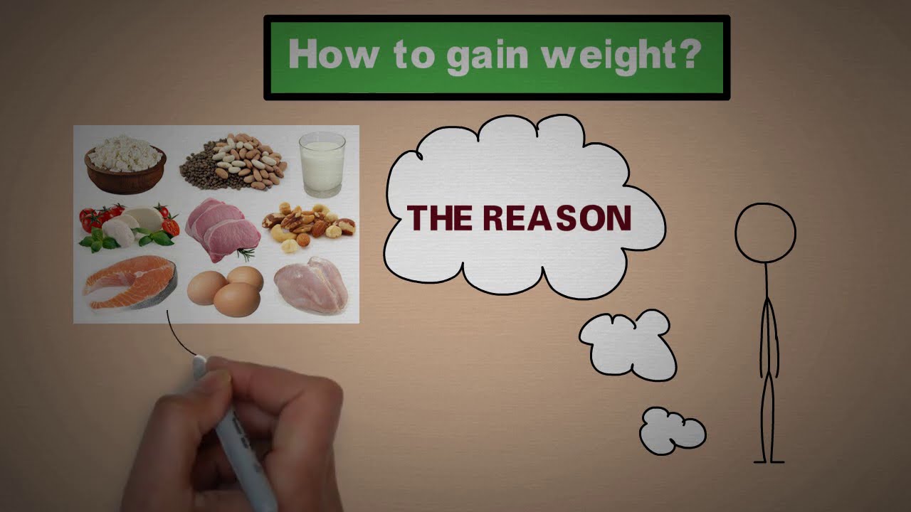 4 lý do tại sao ăn nhiều vẫn gầy - 4 reasons why eat a lot still thin ...