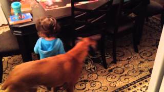 Lucy Tickle, Tickle, Tickle