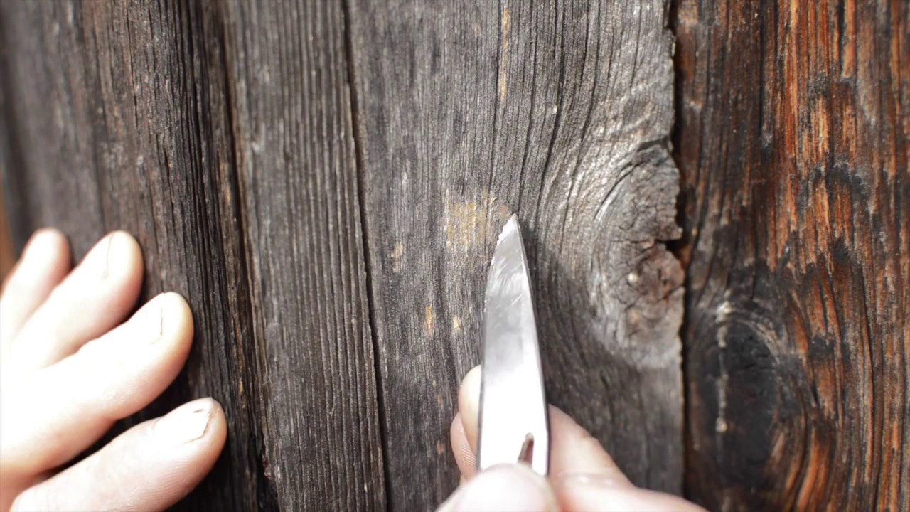 🔴 Wooden walls in Norway - What happens if they are untreated?