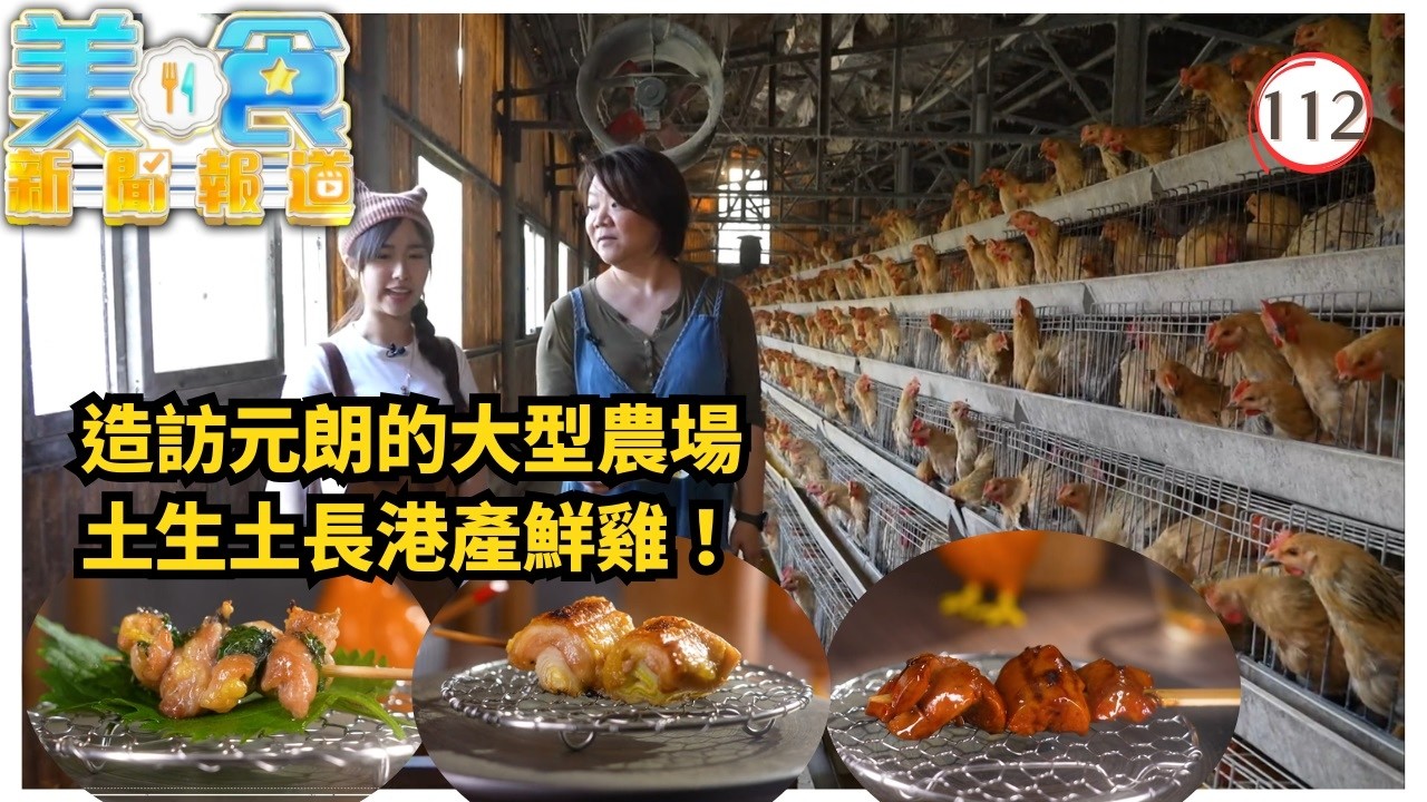 TVB飲食節目 | 美食新聞報道112/240 | 土生土長港產鮮雞、米芝蓮星級蛇羹 | 黃婧靈 | 黃嘉雯 | 蔡景行 | 粵語中字 | 2025 | Gourmet Express