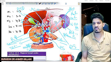 Lymph node dissection of gastric cancer | D1 D2 D3 dissection | Lymph node stations of stomach