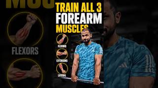 Train ALL 3 Forearm Muscles for Maximum Growth 💪