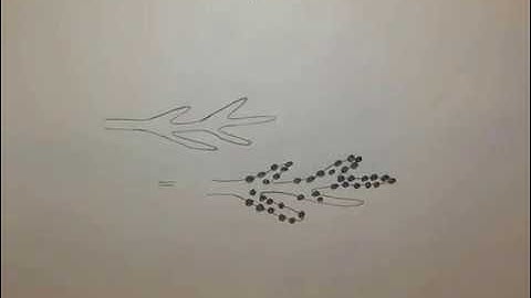 Animated Overview of Branching Morphogenesis