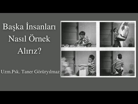 Kurtlar Vadisi izlemek sizi Polat Alemdar yapar mı? | Bobo Doll Deneyi ve Sosyal Öğrenme