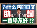 為什麼日文「助詞」一直學不好?測試你的日語助詞程度!| 抓尼先生