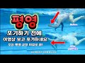 평영 포기하기전에 이거보고 포기하세요 (Before you give up to give up the breaststroke)