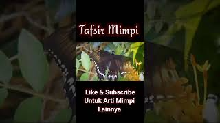 The meaning of a dream about being landed on by a butterfly