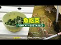 吃肉？太俗了！我們的龍魚是“素食主義者”，身價翻倍的秘密就在這裡！【CityVege城市農夫】