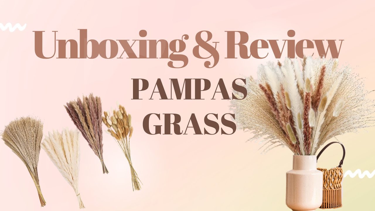 Unboxing | 110 Pieces of Pampas Grass