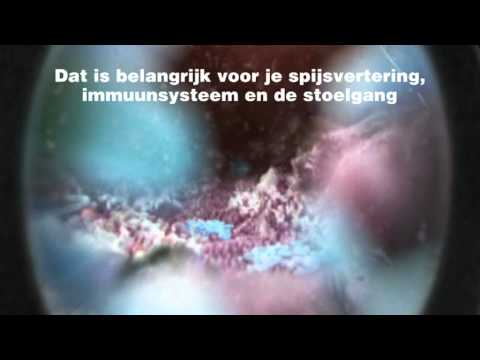 Video: Oppervlaktecomponenten En Metabolieten Van Probiotica Voor Regulatie Van Intestinale Epitheelbarrière