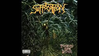 SUFFOCATION &quot;Suspended In Tribulation&quot;