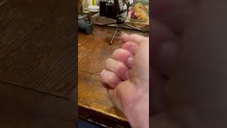 How To Catch Flies Off Of A Table