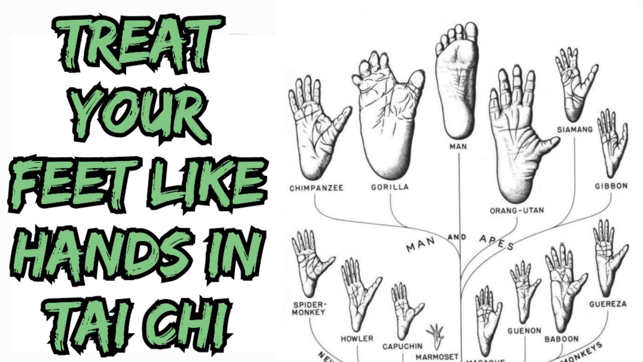 Common Tai Chi Mistakes: Forgetting the Feet