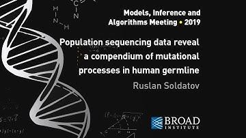 MIA: Vova Seplyarskiy and Ruslan Soldatov on population sequencing data and mutagenic processes