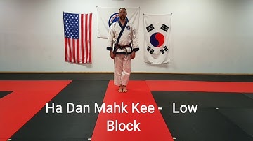 Ha Dan Mahk Kee - Low Block