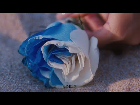 KINDA BLUE x 화사(HWA SA) - ‘I can’t make you love me’ Concept Film (visible ver)