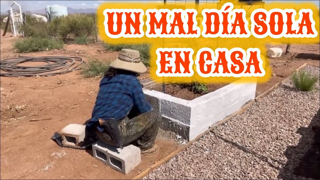 70~ SOLA 🌵 SE ME CAYÓ EL TENDEDERO VARIAS VECES❌PINTAR CON CAL AL BANCAL