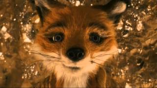 Fantastic Mr Fox Mrs Fox Losses Her Temper