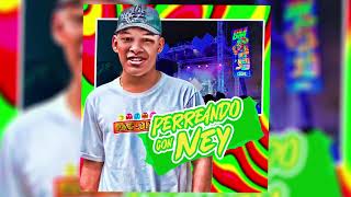 Perreando Con Ney Perreo 𝑮𝒖𝒂𝒓𝒂𝒑𝒐 2024