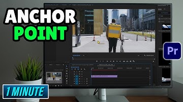 Premiere Pro: How to Set Anchor Point