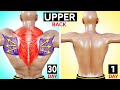 How to grow your Upper back workout (Best exercises)