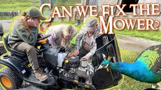 Can the Rideon Mower be Fixed After 2 Years in a Shed?  Scottish Homestead Life  Slow Living