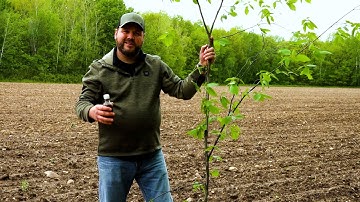 Hodag Licking Stick System Overview and Setup