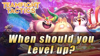 TFT Guide - Leveling Basics