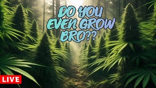 Do you even grow bro show? #79