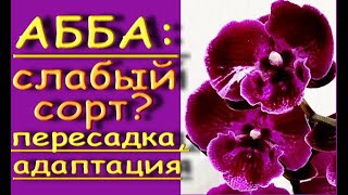 видео: Ох! картинка: Ох!