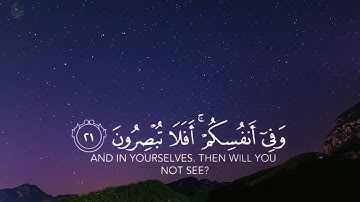 و في أنفسكم أفلا تبصرون، تلاوة هادئة للقارئ إسلام صبحي.