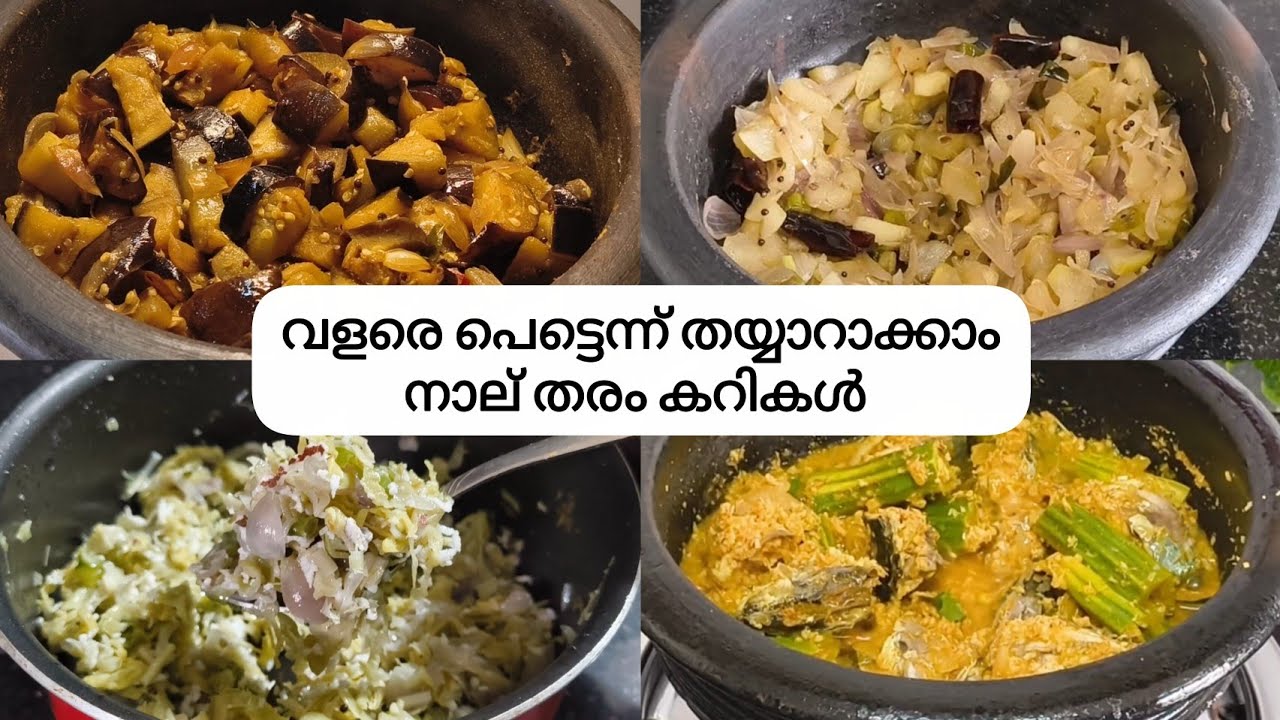 ചോറിന്റെ കൂടെ കഴിക്കാൻ വളരെ പെട്ടെന്ന് തയ്യാറാക്കാൻ പറ്റുന്ന കറികൾ 💯|| NIAN'S