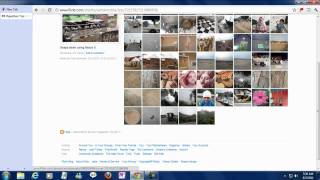 How to use Flickr GeoFences