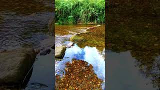 🇪🇸 🌳 🌄 Río Támega (Verín ⇒ Monterrei) #Senderismo #Galicia #España #Shorts