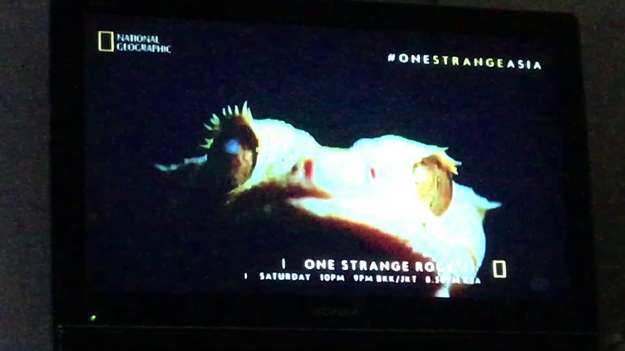 One strange rock episode 8 - YouTube