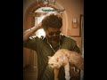 thalapathy always handsome 🗿😎 | #capcut #trending