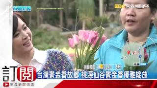淑麗氣象趴趴GO東南亞之最北台灣最大鬱金香花園 浪漫繽紛喜迎春