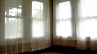 10 Murtha St video tour